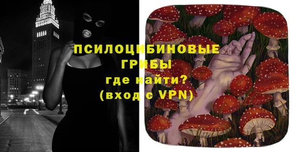 СК Горняк
