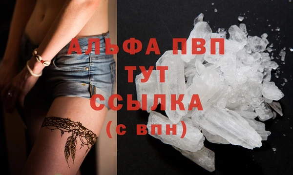 ПСИЛОЦИБИНОВЫЕ ГРИБЫ Вязники