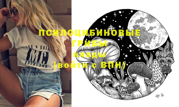 крисы Вяземский